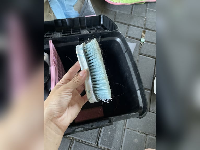 Putzbox mit kompletten Zubehör
