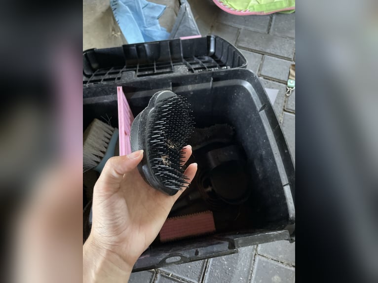 Putzbox mit kompletten Zubehör