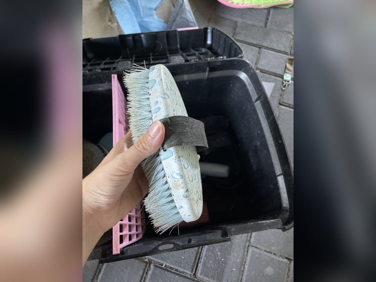 Putzbox mit kompletten Zubehör