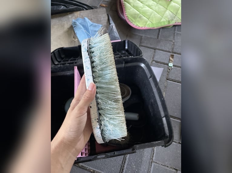 Putzbox mit kompletten Zubehör