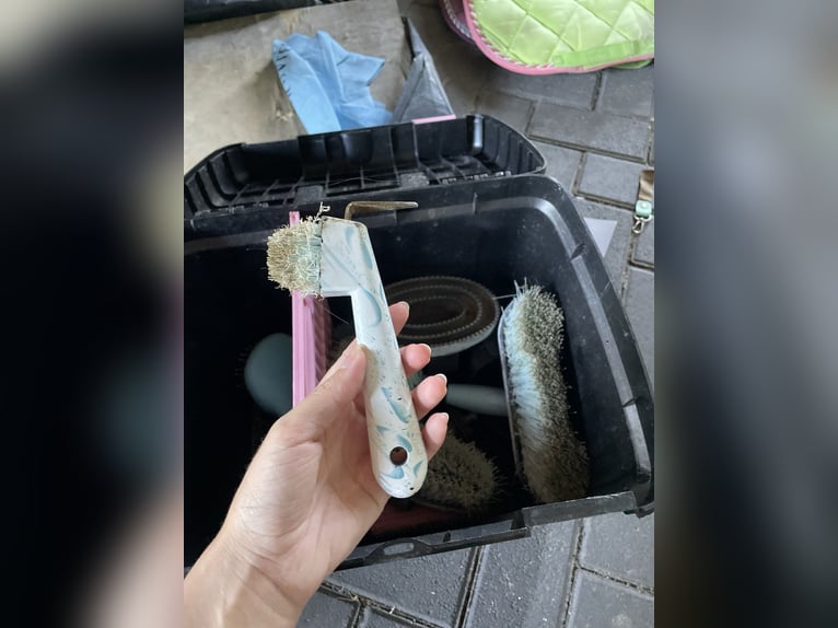 Putzbox mit kompletten Zubehör