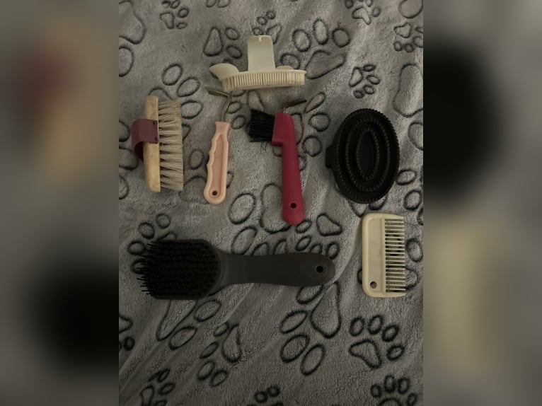 Putztasche ggf mit Putzzeug