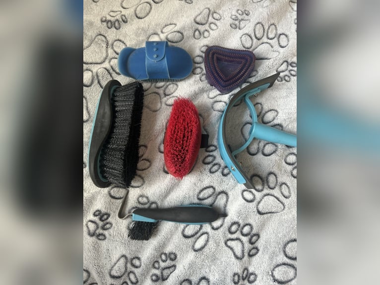 Putztasche ggf mit Putzzeug