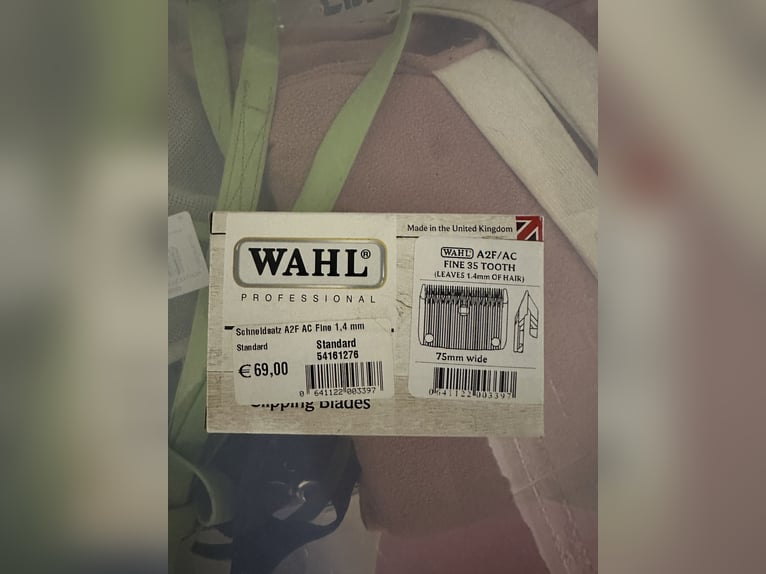 NEU Wahl Scherblätter