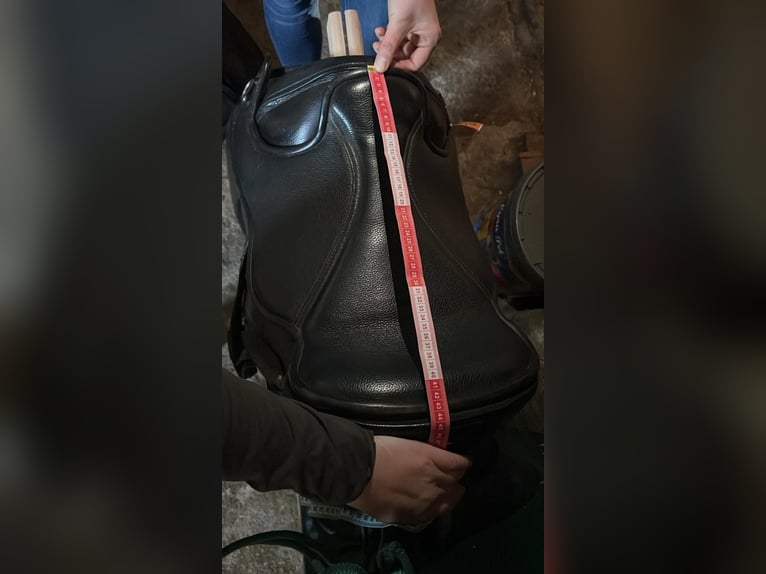 Barefoot Nottingham Sattel