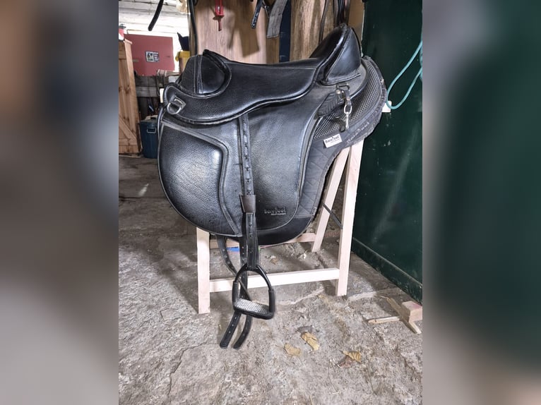 Barefoot Nottingham Sattel