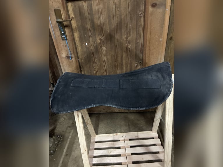 Barefoot Sattel justadjust