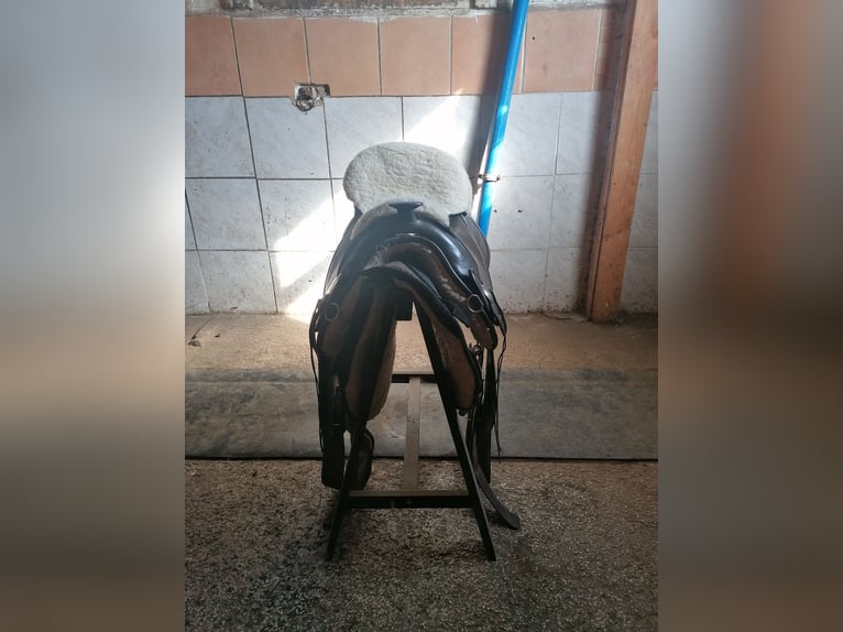 Biete meinen arizona Barefoot Sattel an