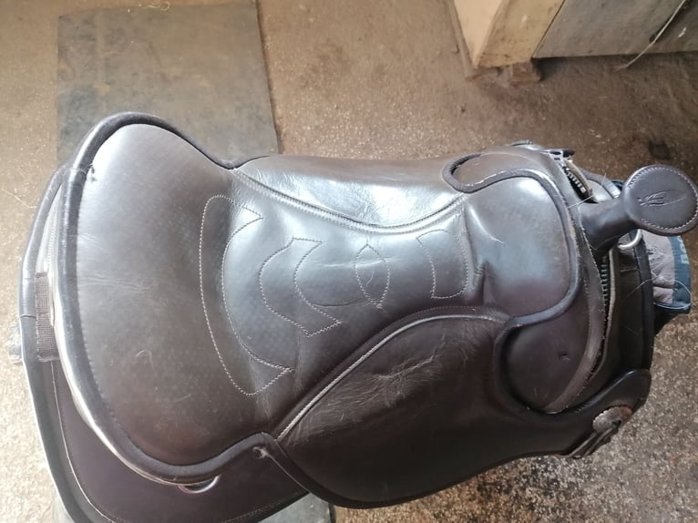 Biete meinen Barefoot arizona an