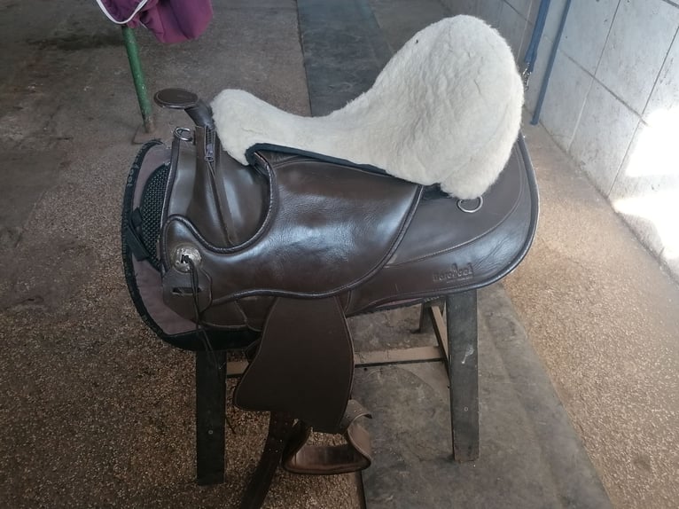 Biete meinen Barefoot arizona an