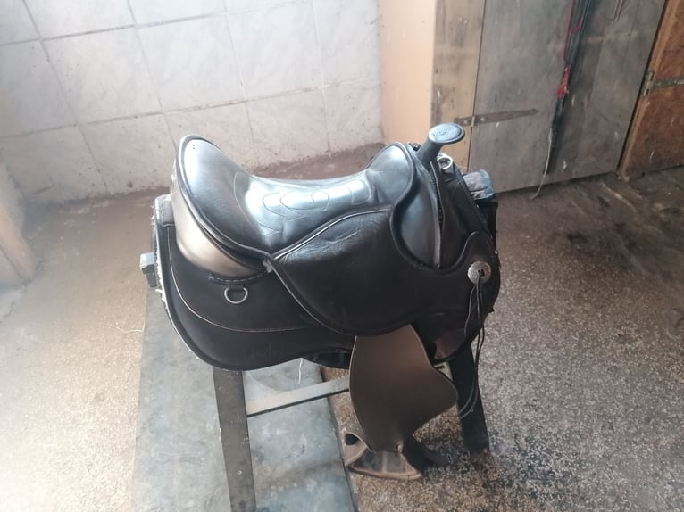 Biete meinen Barefoot arizona an