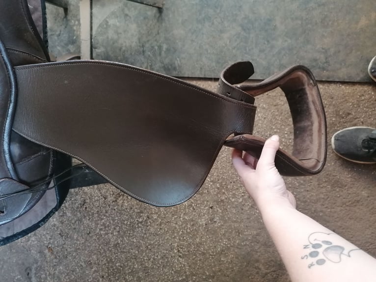 Biete meinen Barefoot arizona an