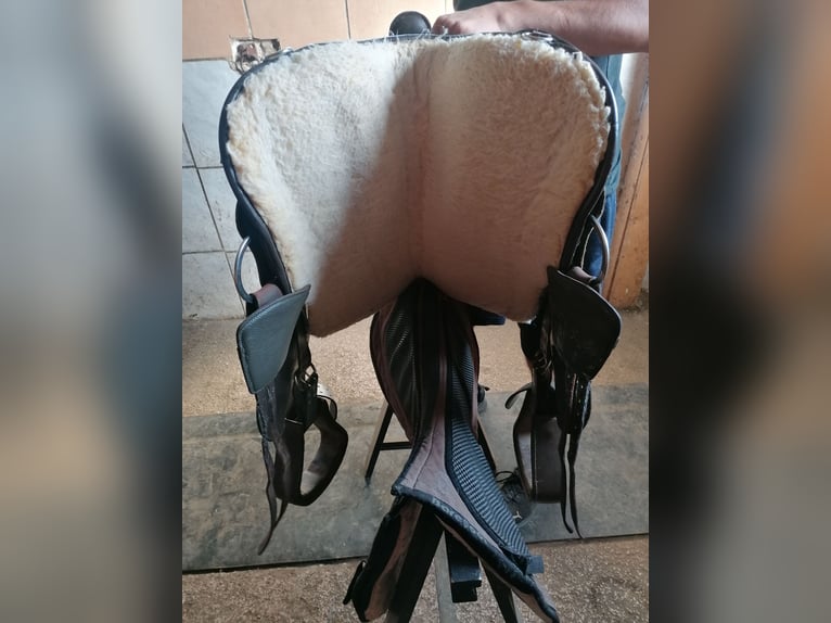 Biete meinen Barefoot arizona an