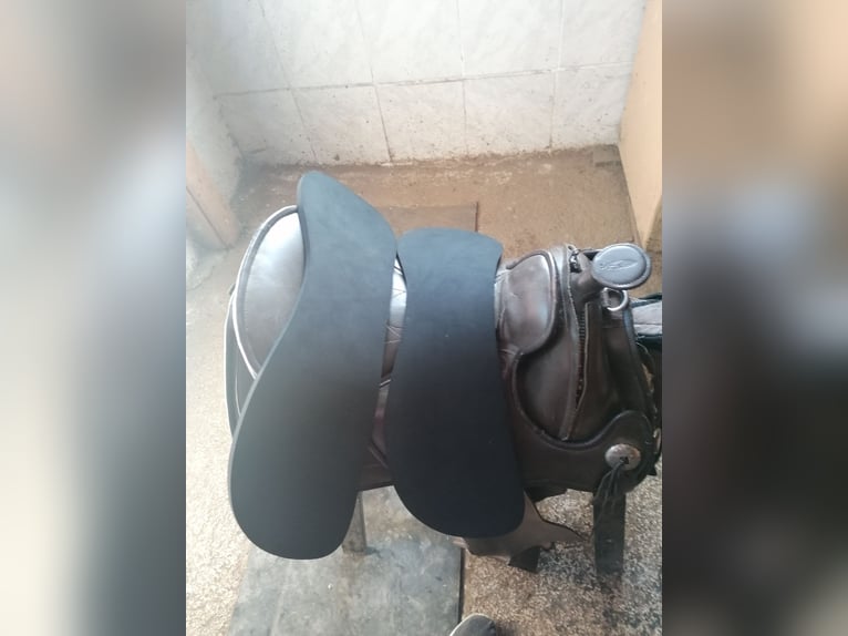 Biete meinen Barefoot arizona an