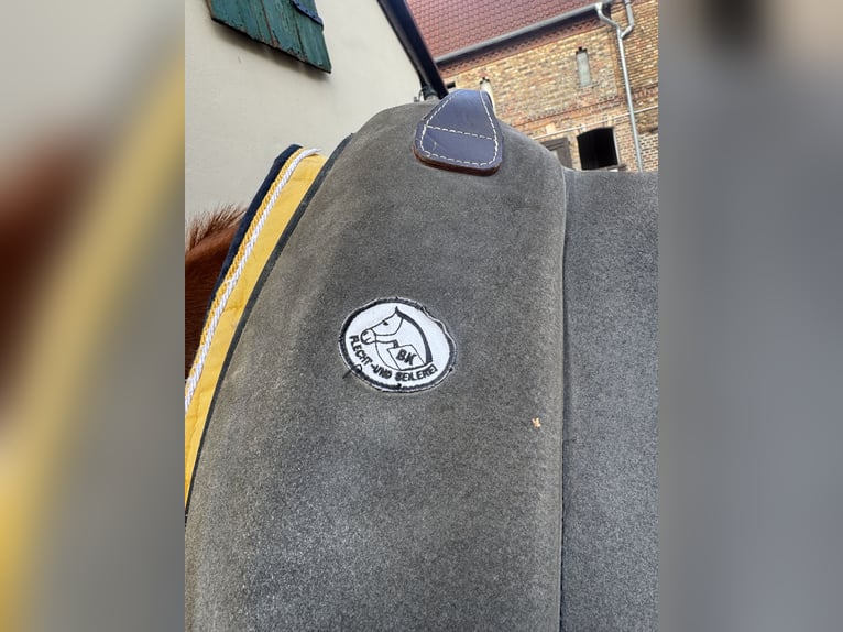 Brockamp Sattelpad/Reitpad in Grau