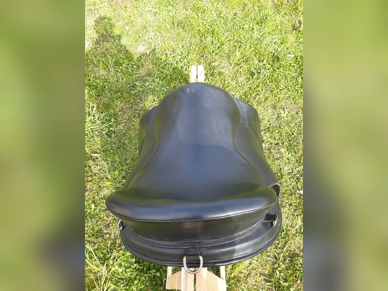 Freeform Sattel Dressage