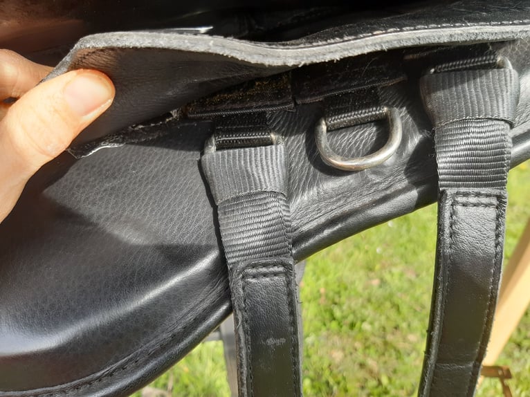 Freeform Sattel Dressage
