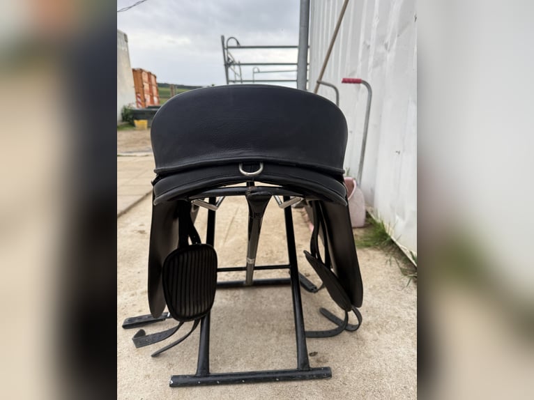Freeform SB Baumloser Sattel
