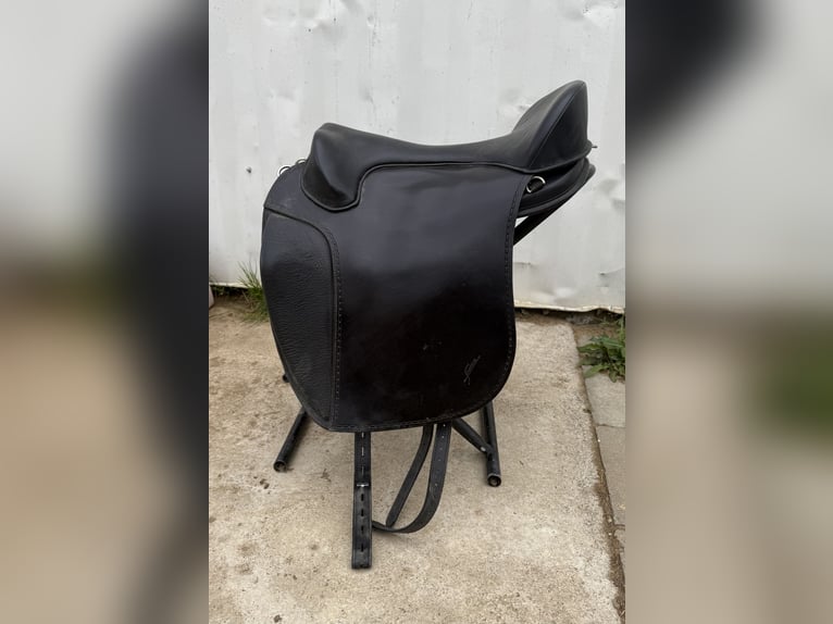 Freeform SB Baumloser Sattel