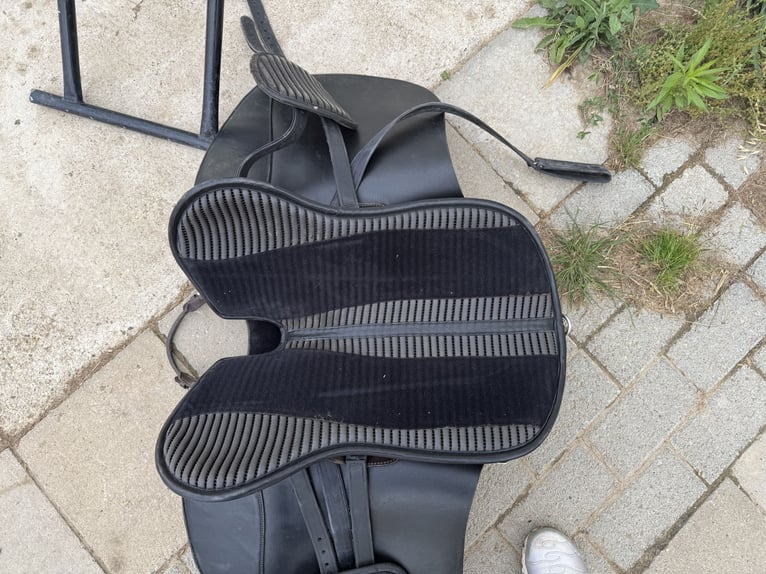 Freeform SB Baumloser Sattel