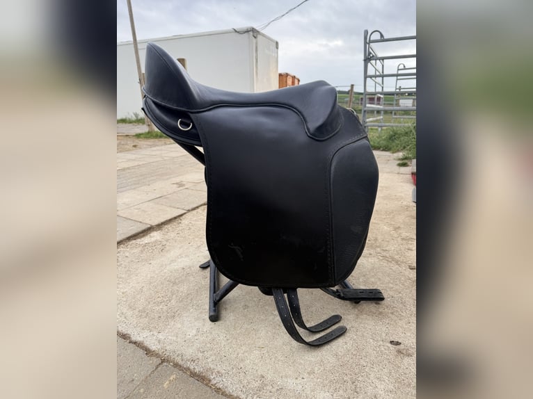 Freeform SB Baumloser Sattel