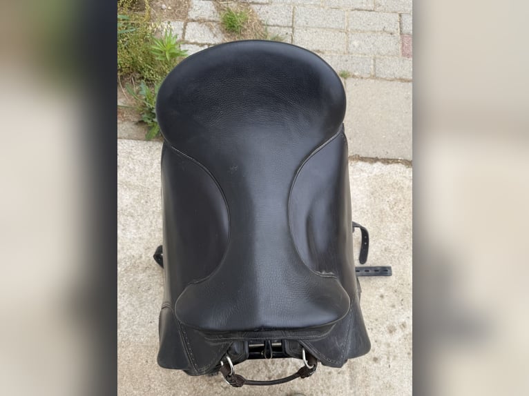 Freeform SB Baumloser Sattel