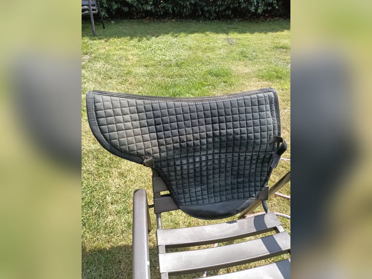 günstig baumloser Markensattel