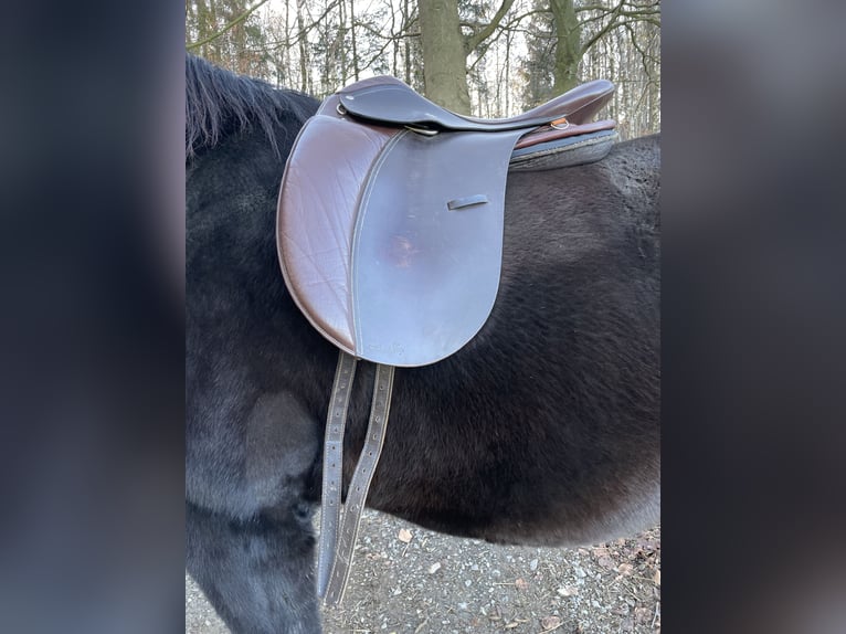 Lederbaumsattel Hidalgo