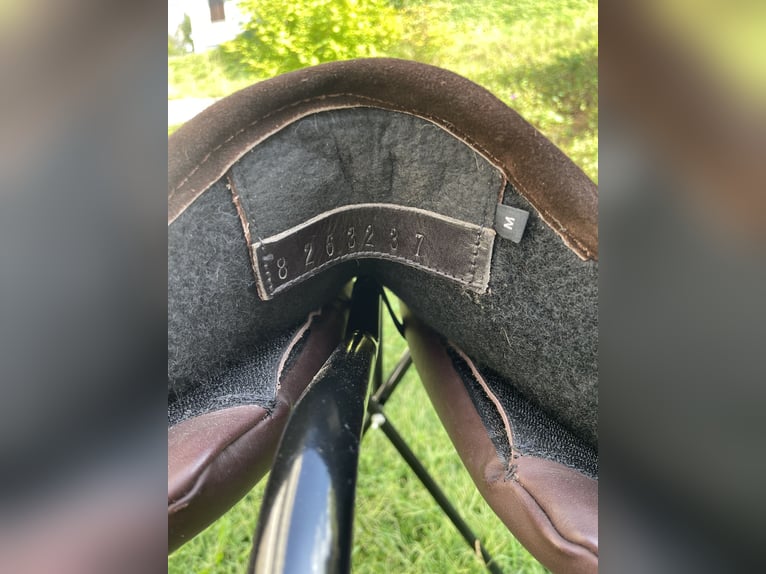 NEUES Signum-Paddle (Gr. M) in toller Optik 😍🐴
