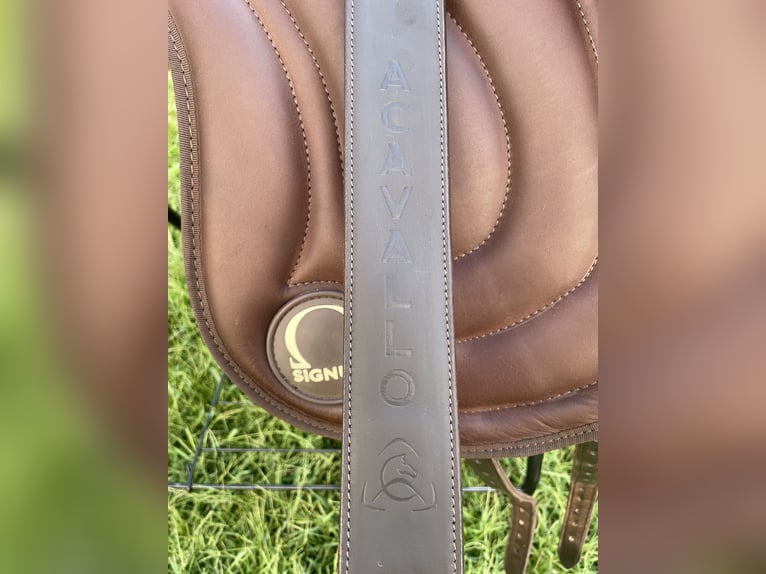 NEUES Signum-Paddle (Gr. M) in toller Optik 😍🐴