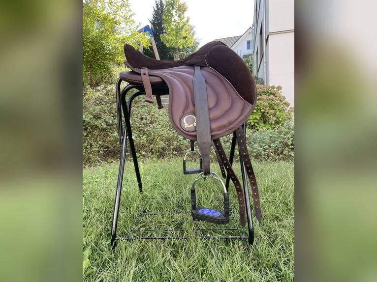 NEUES Signum-Paddle (Gr. M) in toller Optik 😍🐴