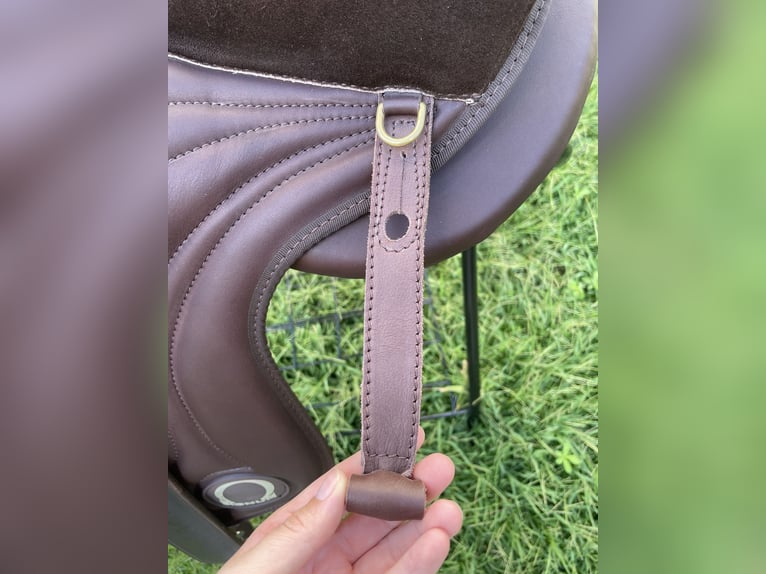 NEUES Signum-Paddle (Gr. M) in toller Optik 😍🐴
