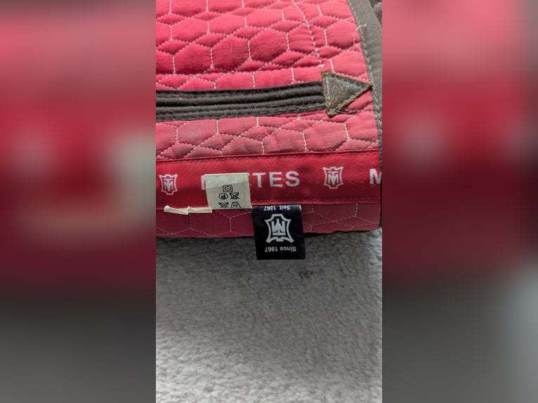 Schöner Baumloser Sattel von Deuber & Partner