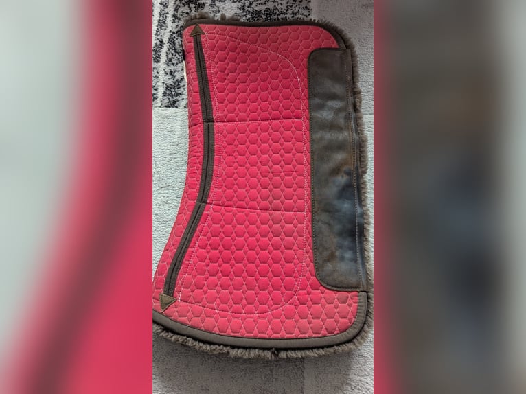 Schöner Baumloser Sattel von Deuber & Partner