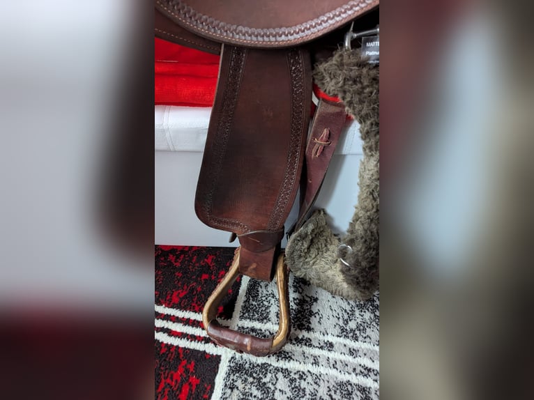 Schöner Baumloser Sattel von Deuber & Partner