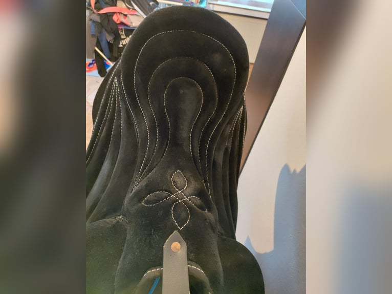 Signum Dressage Reitpad Kenzie Dysli Größe M