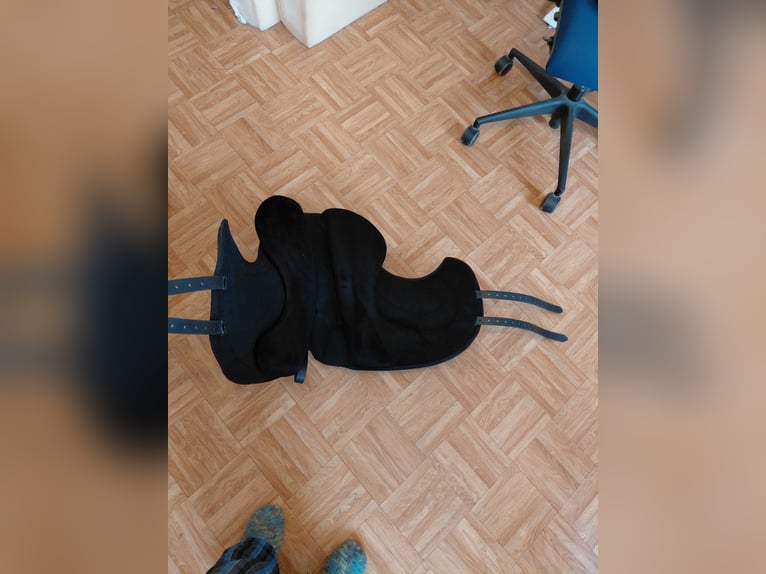 Signum Dressage Reitpad Kenzie Dysli Größe M