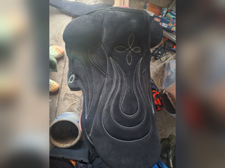 Signum Omega Paddle Dressur - Größe L (schwarz) inkl. Zubehör