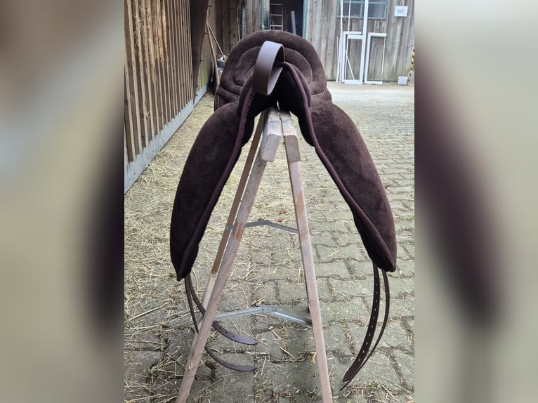 Signum Pad Dressage in Schoko, größe L zu verkaufen