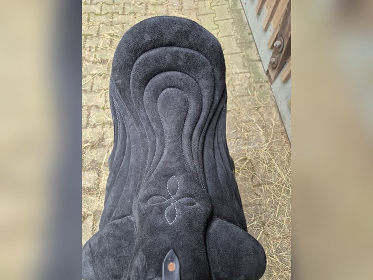 Signum Pad Dressage in Schwarz, größe L 