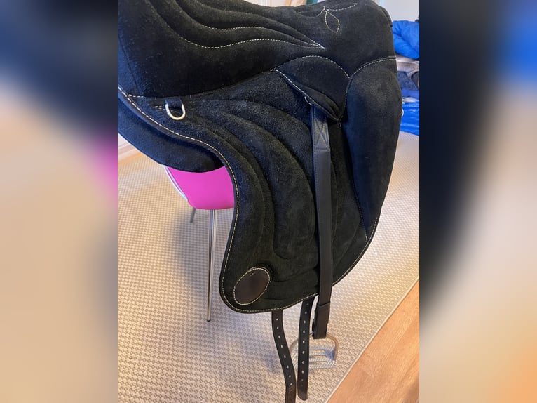 Signum Reitpaddle 