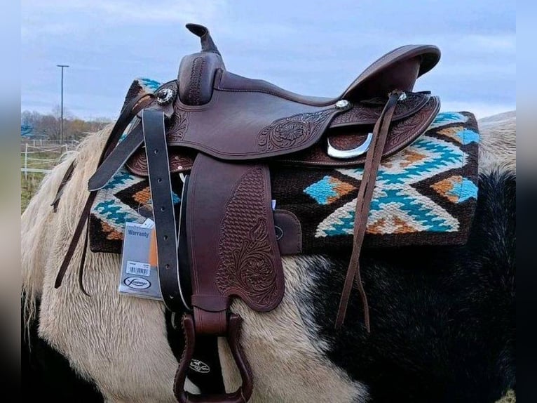 Westernsattel,Baumlos,Freemax 1000 €