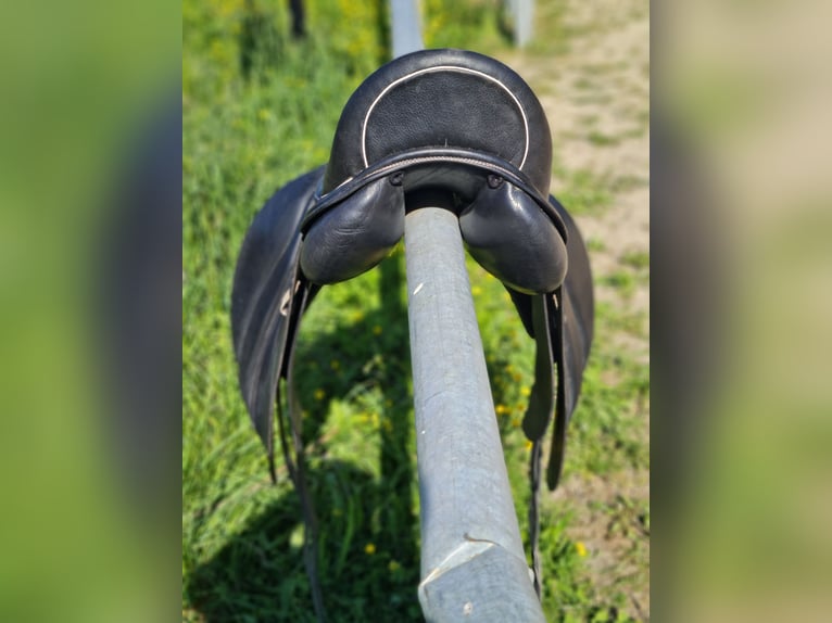 3S Dressursattel FSA Linie 17 Zoll, 1 Jahr alt 