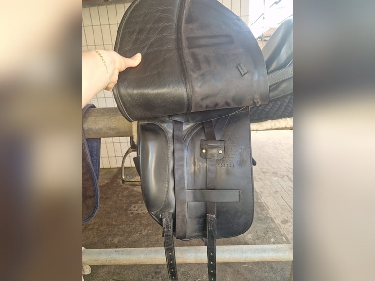 Albion  Dressursattel 17,5 schwarz