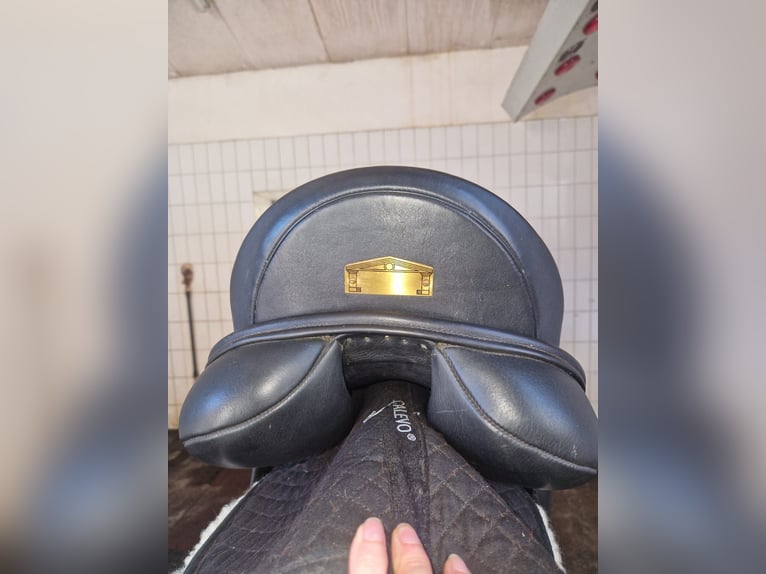 Albion  Dressursattel 17,5 schwarz