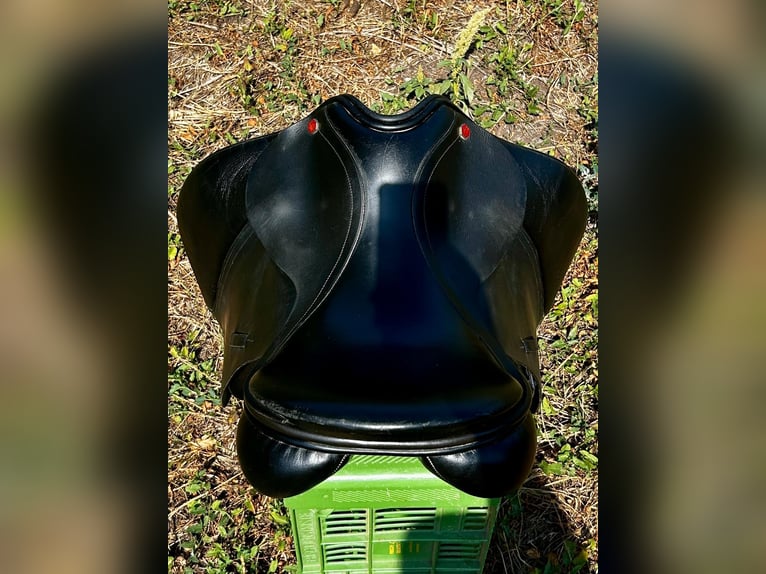 Albion Dressursattel
