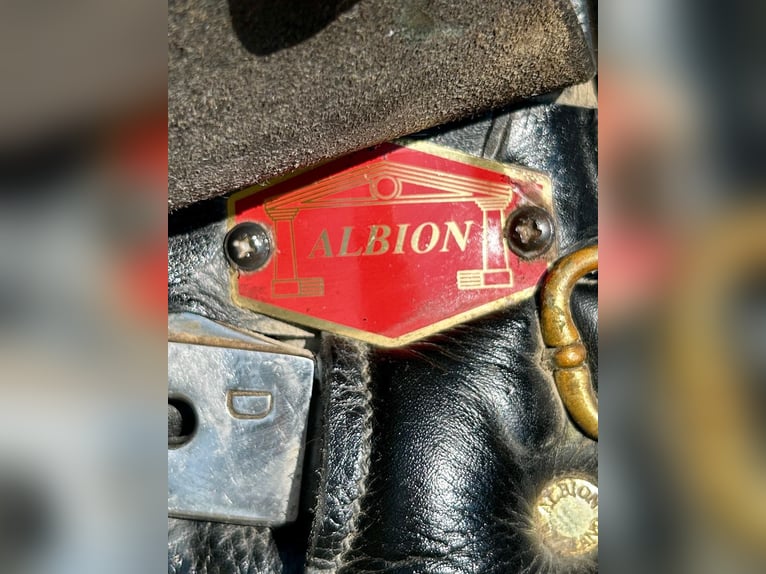 Albion Dressursattel