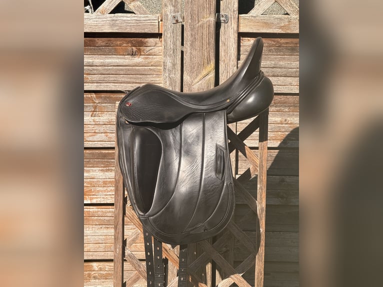 Albion Fabrento 17,5