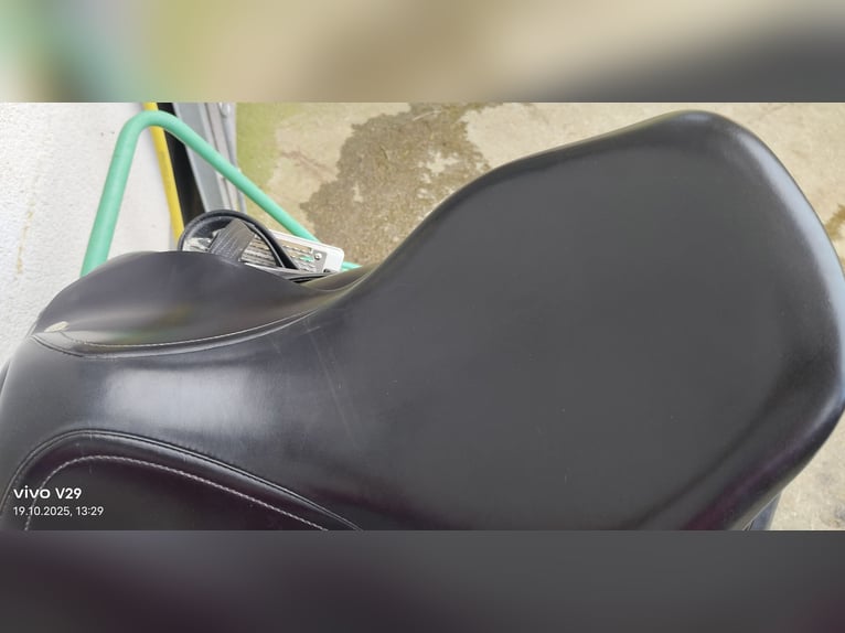 Amerigo Basso klassischer Dressursattel 17" top Zustand! Amerigo Basso klassischer Dressursattel 17" top Zustand!