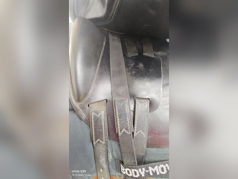 Amerigo Basso klassischer Dressursattel 17" top Zustand! Amerigo Basso klassischer Dressursattel 17" top Zustand!